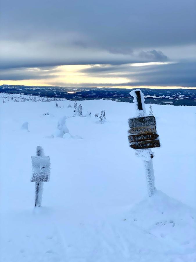 Lys Og Moderne Leilighet Rett Ved Skiloypa Pa Nordseter - Kort Vei Til Sjusjoen, Lillehammer Og Hafjell - Dyr Ikke Tillatt 외부 사진